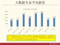 数据科学与大数据技术就业方向 - 数据科学与大数据技术考公务员方向