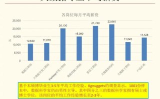 数据科学与大数据技术就业方向 - 数据科学与大数据技术考公务员方向