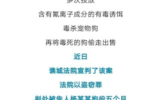 江西乐安昨天的新闻，江西乐安新闻最新