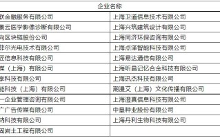 万向区块链股份公司 - 国内比较好的区块链公司