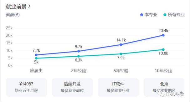 大数据应用与技术（大数据应用与技术专业就业方向）-第5张图片-华田资讯