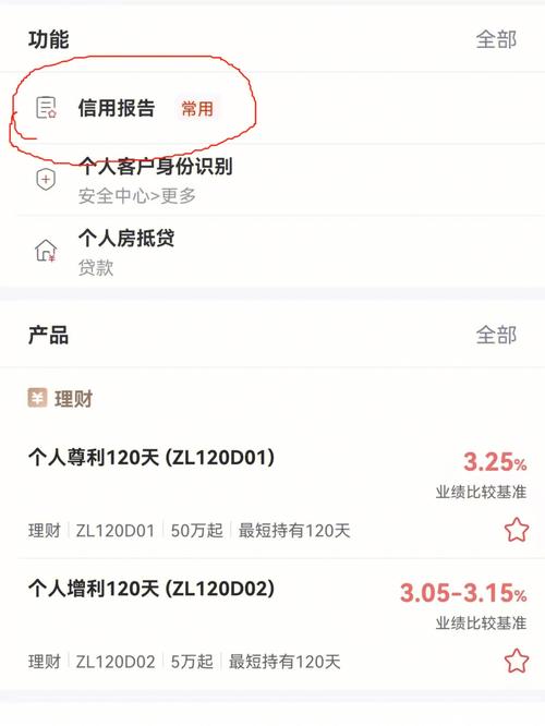 大数据查征信 - 大数据查征信和打征信报告的区别-第4张图片-华田资讯