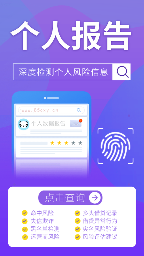 大数据征信查询（大数据征信查询app）-第1张图片-华田资讯