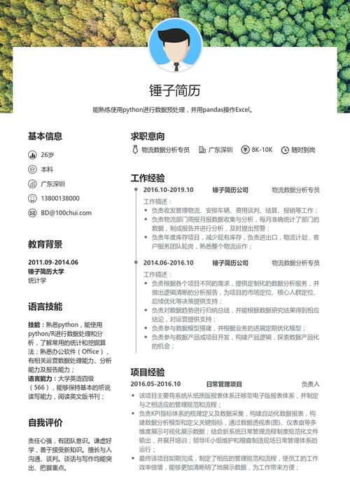 大数据开发工程师简历（大数据开发工程师简历内容）-第6张图片-华田资讯