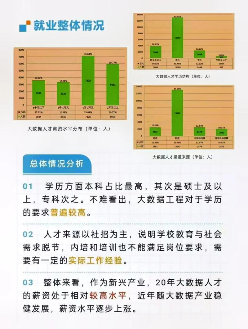 大数据人才的需求状况，大数据行业人才需求报告-第7张图片-华田资讯