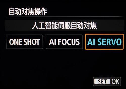 人工智能伺服对焦，人工智能伺服对焦第一张图像怎么设置-第6张图片-华田资讯