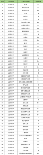 武汉大学人工智能，武汉大学人工智能研究院-第1张图片-华田资讯