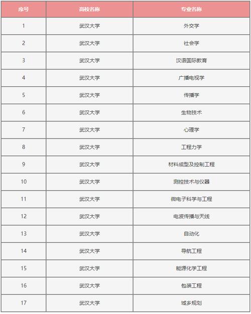 武汉大学人工智能，武汉大学人工智能研究院-第4张图片-华田资讯